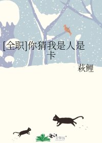 [全职]你猜我是人是卡