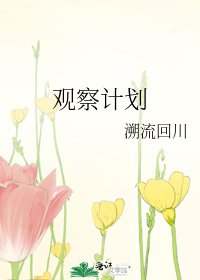 《观察计划》