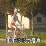 《平平淡淡才是真》