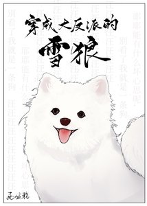 《穿成大反派的雪狼后》