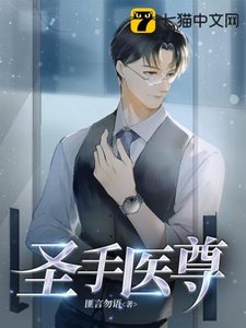 《圣手医尊》