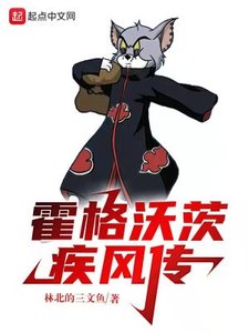 《霍格沃茨疾风传》