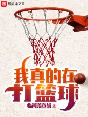 《我真的在打篮球》