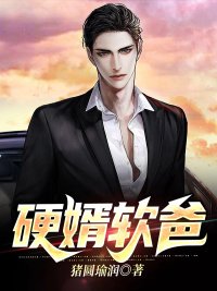 《硬婿软爸》