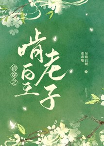 《清穿之啃老皇子》