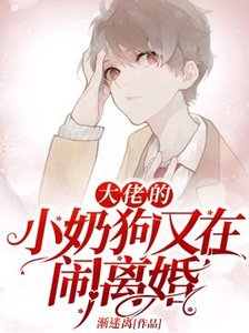 《大佬的小奶狗又在闹离婚》