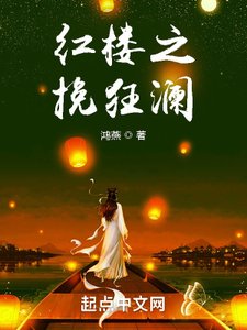 《红楼之挽狂澜》
