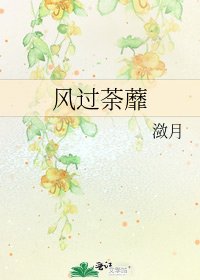 《风过荼蘼》