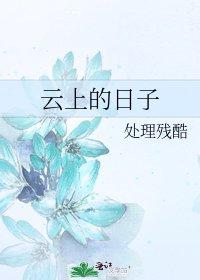 《云上的日子》