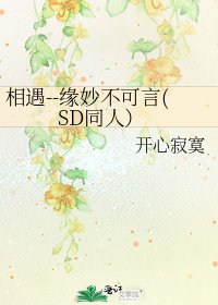 《相遇--缘妙不可言(SD同人)》