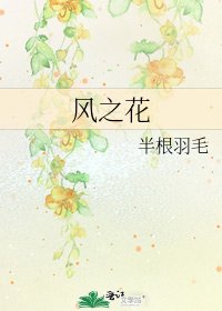 《风之花》