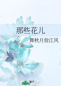 《那些花儿》