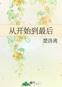 《从开始到最后》