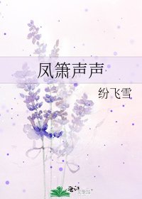 《凤箫声声》