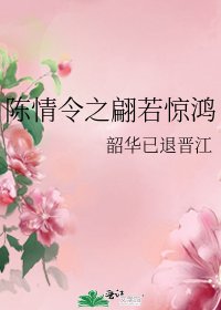 （陈情令同人）陈情令之翩若惊鸿