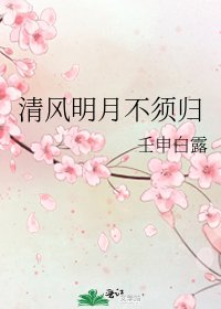 《清风明月不须归》
