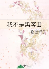 《我不是黑客Ⅱ》