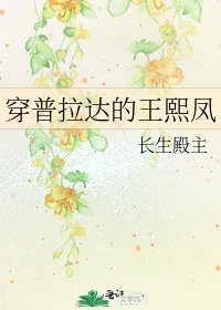 《穿普拉达的王熙凤》