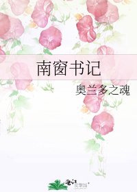 《南窗书记》