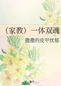 （家教）一体双魂