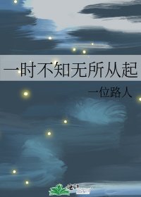 《一时不知无所从起》