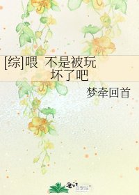 [综]喂 不是被玩坏了吧