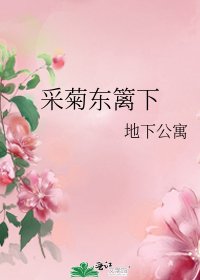 《采菊东篱下》