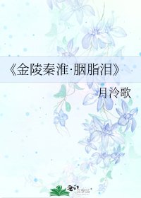 《金陵秦淮·胭脂泪》