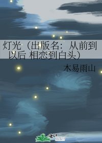 《灯光(出版名:从前到以后 相恋到白头)》