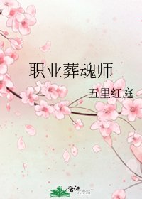 《职业葬魂师》