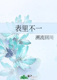 《表里不一》