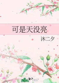 《可是天没亮》