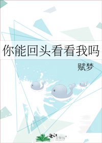 《你能回头看看我吗》