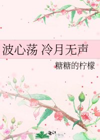 《波心荡 冷月无声》