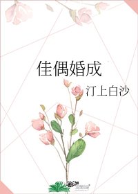 《佳偶婚成》