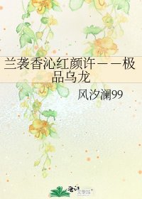 《兰袭香沁红颜许--极品乌龙》