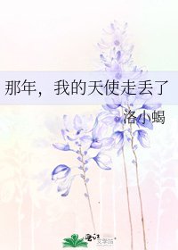 《那年,我的天使走丢了》