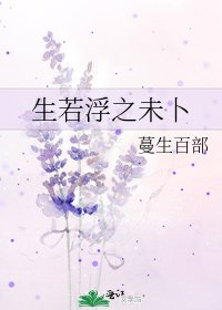 《生若浮之未卜》