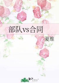 《部队vs合同》