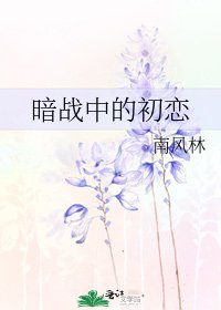 《暗战中的初恋》
