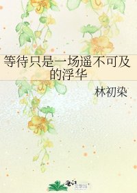 《等待只是一场遥不可及的浮华》