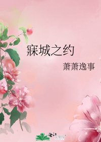 《寐城之约》