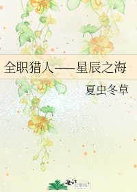 《全职猎人——星辰之海》