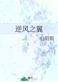 《逆风之翼》