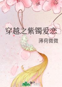 《穿越之紫镯爱恋》