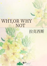 《WHY,OR WHY NOT》