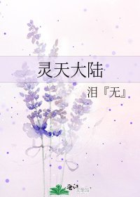 《灵天大陆》