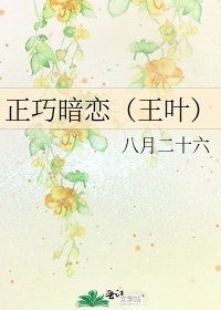 《正巧暗恋(王叶)》
