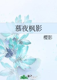 慕夜枫影