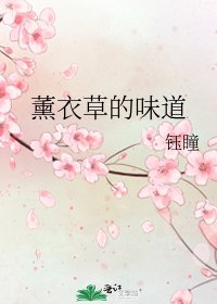 《薰衣草的味道》